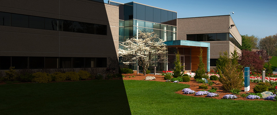 Starke Landscapers
