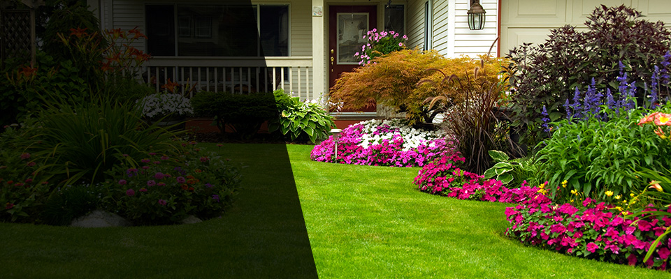 Starke Landscapers