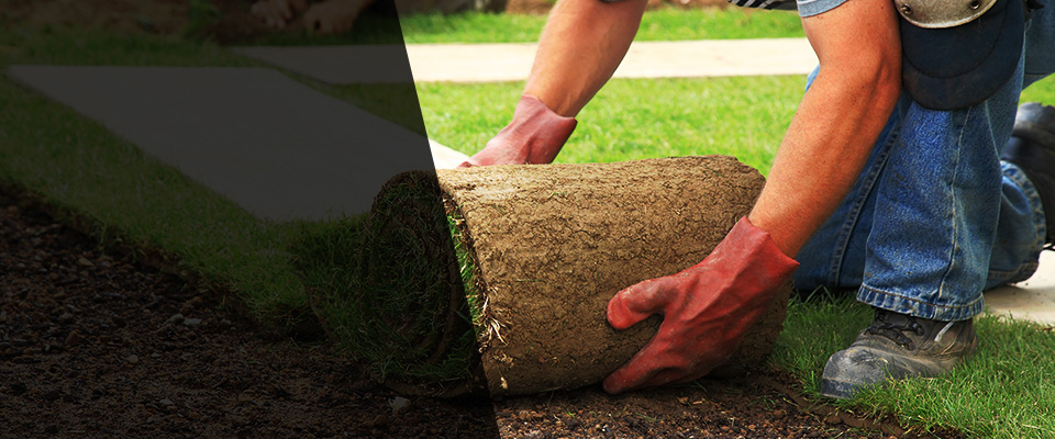 Starke Landscapers